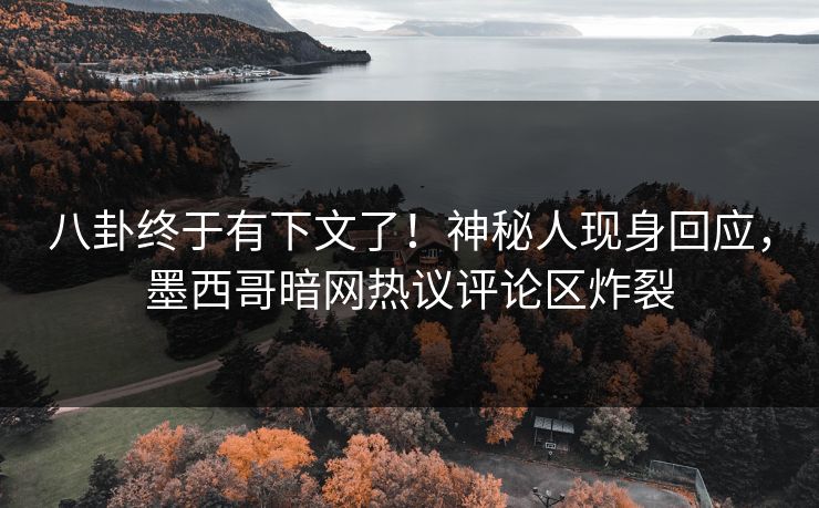 八卦终于有下文了！神秘人现身回应，墨西哥暗网热议评论区炸裂