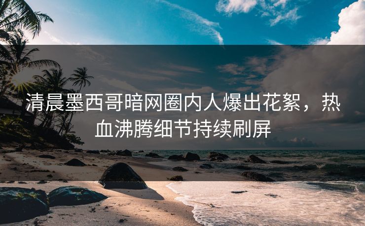 清晨墨西哥暗网圈内人爆出花絮，热血沸腾细节持续刷屏