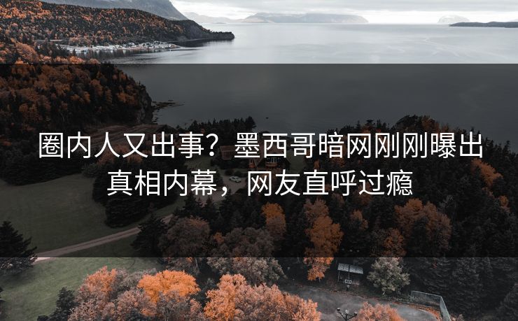 圈内人又出事？墨西哥暗网刚刚曝出真相内幕，网友直呼过瘾