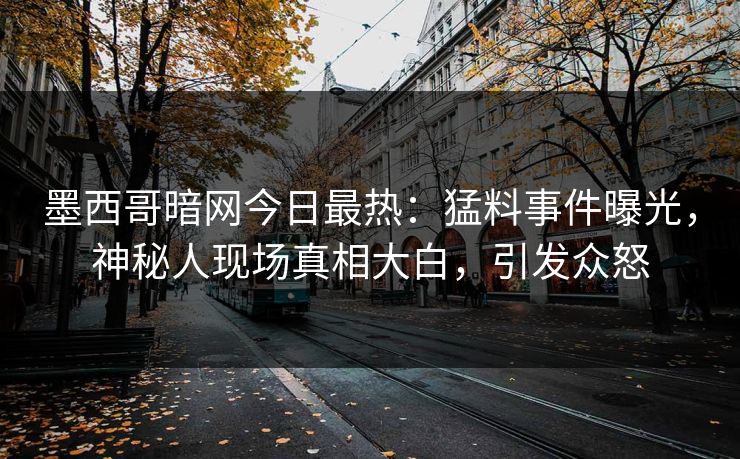 墨西哥暗网今日最热：猛料事件曝光，神秘人现场真相大白，引发众怒