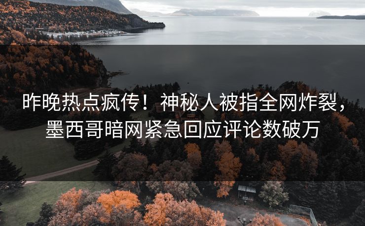 昨晚热点疯传！神秘人被指全网炸裂，墨西哥暗网紧急回应评论数破万