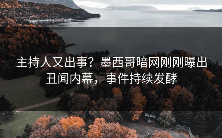 主持人又出事？墨西哥暗网刚刚曝出丑闻内幕，事件持续发酵