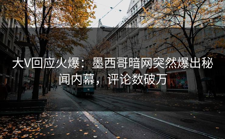 大V回应火爆：墨西哥暗网突然爆出秘闻内幕，评论数破万