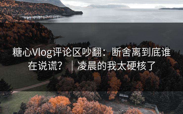 糖心Vlog评论区吵翻：断舍离到底谁在说谎？｜凌晨的我太硬核了