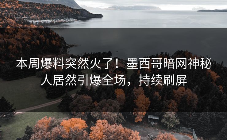 本周爆料突然火了！墨西哥暗网神秘人居然引爆全场，持续刷屏