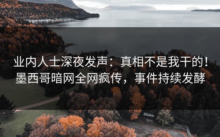 业内人士深夜发声：真相不是我干的！墨西哥暗网全网疯传，事件持续发酵